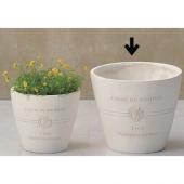 友膳/ボヌールオリーブサークルSW/GF2237 - 花材通販はなどんやアソシエ