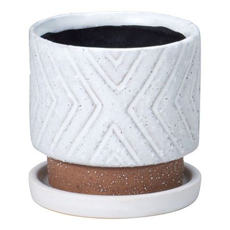 友膳/イミゴンゴポットW(受皿付)/T518