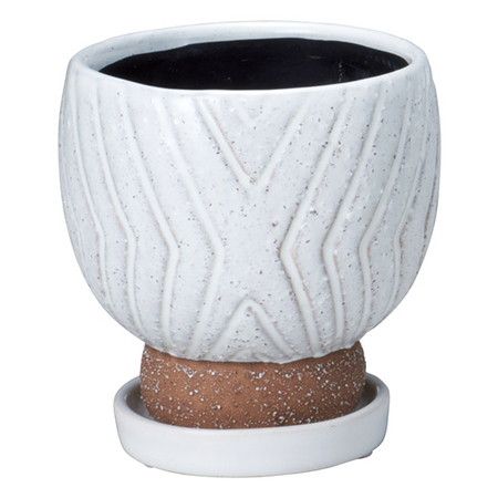 友膳/イミゴンゴラウンドW(受皿付)/T522