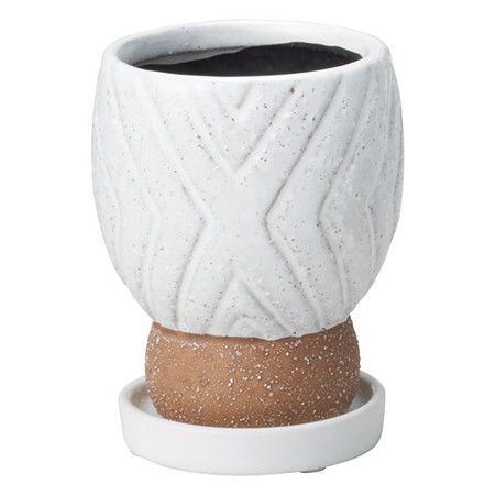 友膳/イミゴンゴサークルMW(受皿付)/T527