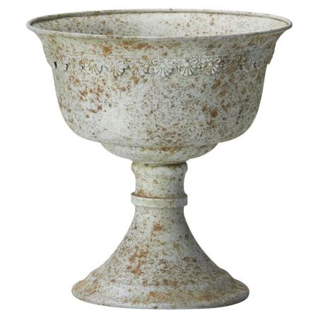 友膳/アンシャンカップGY/UF563