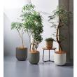 特価◎友膳/プラットサークルSBE/G1048