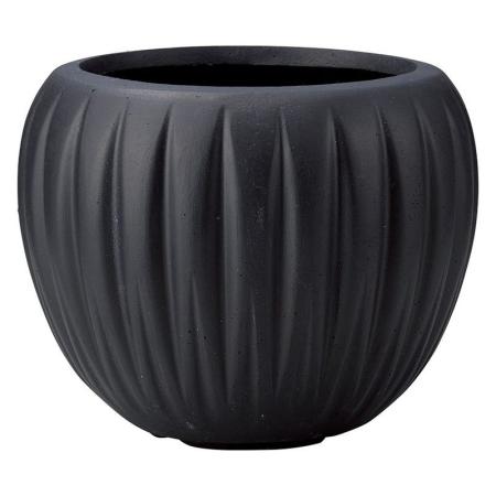 友膳/デンテリュールサークルSB/G1036