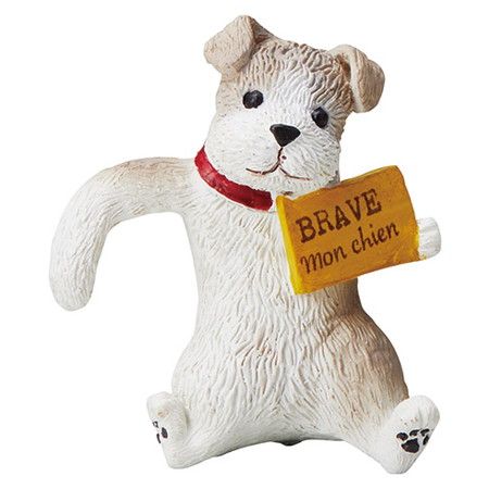 友膳/アクロシェシアン/5E4415