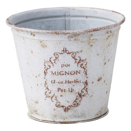 友膳/ミニョンサークルMW/MA2622