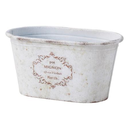 友膳/ミニョンオーバルSW/MA2630