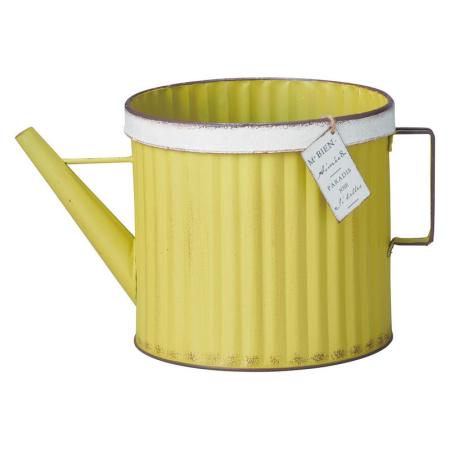 友膳/アンボセジョーロY/MH1820