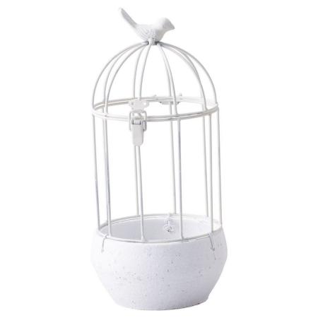 友膳/オワゾカージュサークルMW/UP421