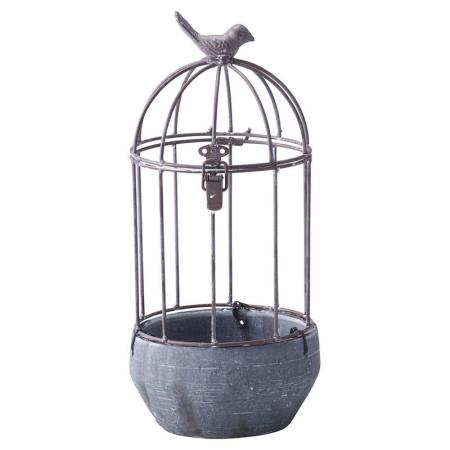 友膳/オワゾカージュサークルMBR/UP424