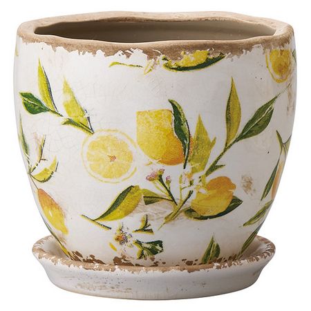 友膳/シトロンラウンドS(受皿付)/TLE200