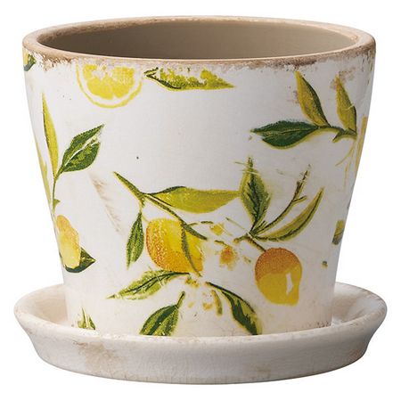 友膳/シトロンロングS(受皿付)/TLE202