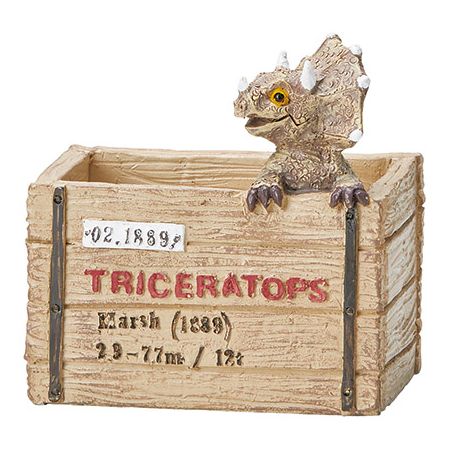 友膳/ディノゾーボックスポット/5E4464