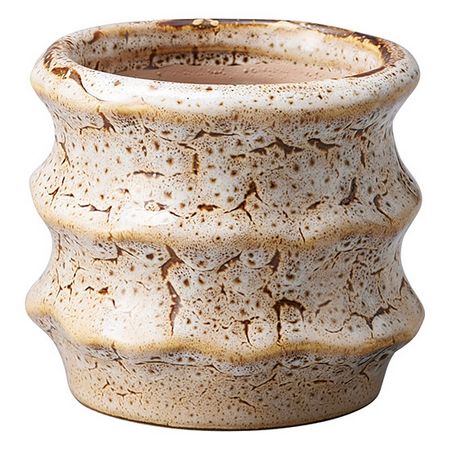 友膳/オンデポットSBE/T538