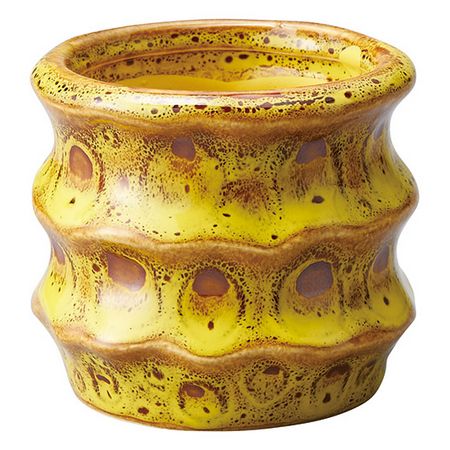 友膳/オンデポットMY/T541