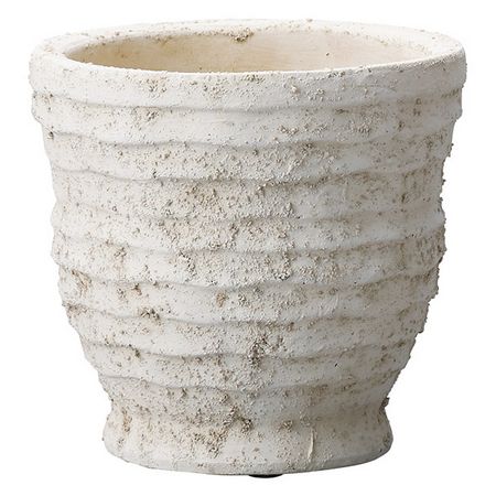 友膳/バーンドサークルMW/ST961