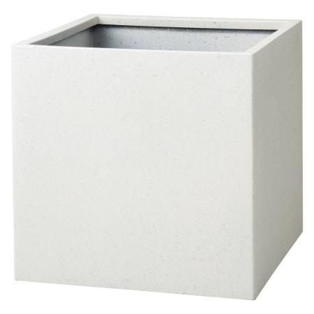 友膳/イネガルスクエアW/MS1484