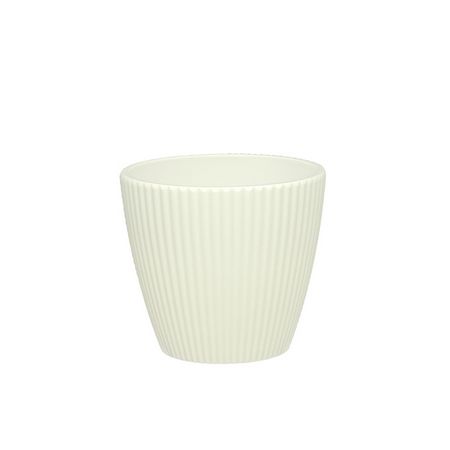 大橋新治商店/Plala/56-501