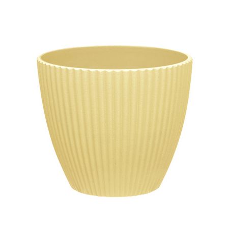 大橋新治商店/Plala/56-533