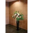 特価◎【直送】大橋新治商店/アイアンスタンド120cm ブラック/30-0456 ※返品・代引・キャンセル不可