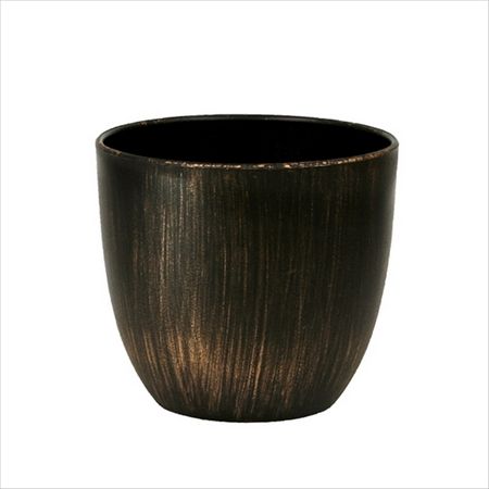 大橋新治商店/金彩 黒/56-602