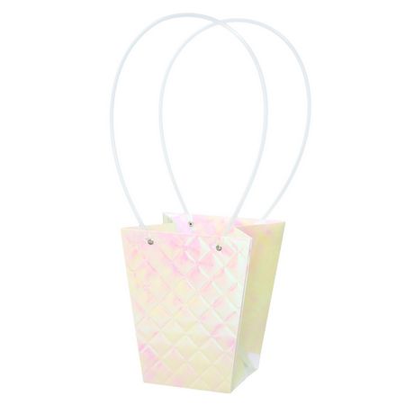 特価◎大橋新治商店/ペーパーバッグ  D5/18-135