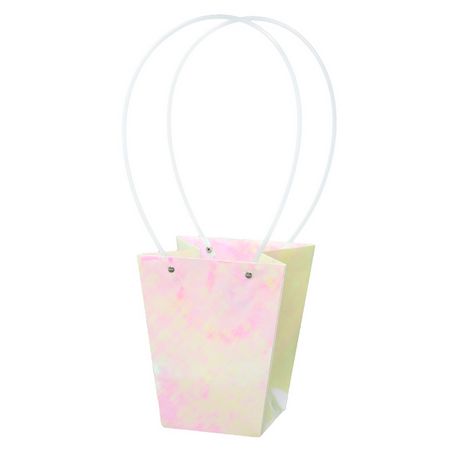 特価◎大橋新治商店/ペーパーバッグ  D5/18-125