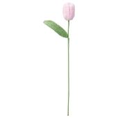 【1989mページ】チューリップブーケ 1989mページ】チューリップブーケ 1989mページ】チューリップ