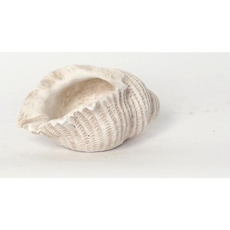 村田屋産業/コンクシェルポット/17003