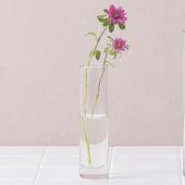 バカラ フラワーベース chamsola Paseo/ガラスベース/EX-35-15.5 - 花材通販はなどんやアソシエ