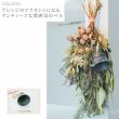 Paseo/アンティークベルS/61-14S