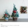 Paseo/白樺バンドル20cm/XM-32S