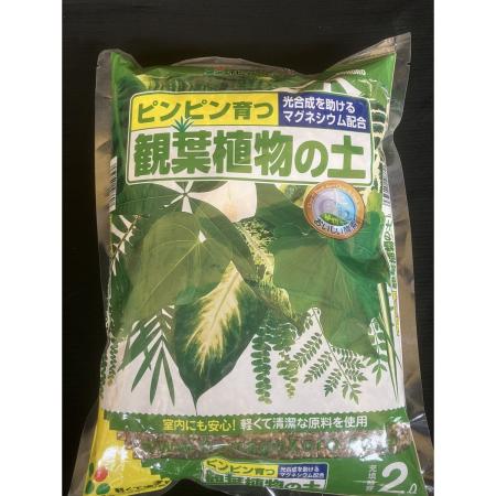 花ごころ/観葉植物の土 2L/1701161