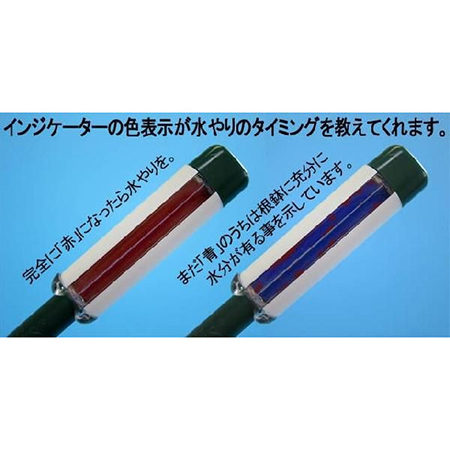 セラミス インジケーターl 26cm 通販 はなどんやアソシエ セラミス インジケーターl 26cm 通販 はなどんやアソシエ