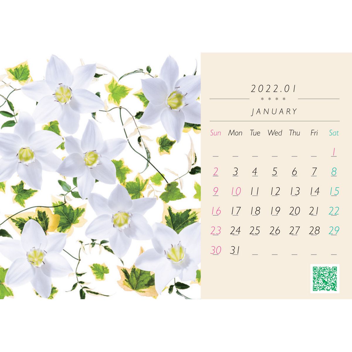 即日 川崎景太プロデュース 花グラフィックカレンダー 22 卓上 Kg 22d 通販 はなどんやアソシエ 即日 川崎景太プロデュース 花グラフィックカレンダー 22 卓上 Kg 22d 通販 はなどんやアソシエ