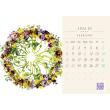 即日★川崎景太プロデュース/HANA GRAPHIC ART CALENDAR 2026 卓上/KG-2026d