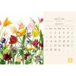 即日★川崎景太プロデュース/花グラフィックアートカレンダー2027年　卓上タイプ/NC-203