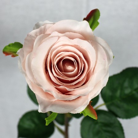 造花 Fian アンジェロローズ Fr0024pe 通販 はなどんやアソシエ 造花 Fian アンジェロローズ Fr0024pe 通販 はなどんやアソシエ