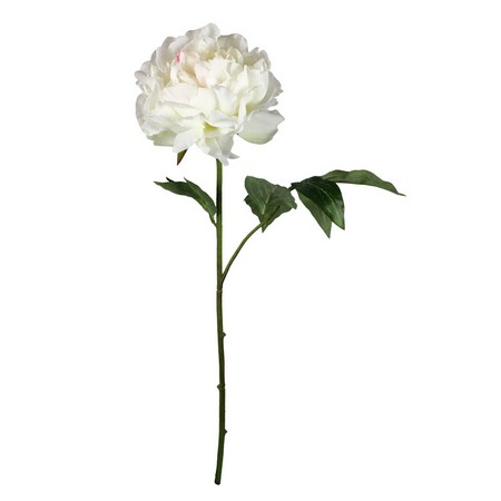 即日 造花 Fian アンジェロピオニー Fm0029 Wht 通販 はなどんやアソシエ 即日 造花 Fian アンジェロピオニー Fm0029 Wht 通販 はなどんやアソシエ