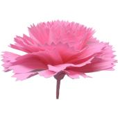 Gracias/カーネーション(ワイン)L BIGフラワーシリーズ/P-314