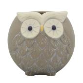 CARNAC/ラフォーレフクロウAS-BK/CP027BK - 花材通販はなどんやアソシエ