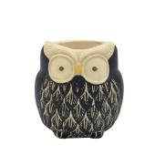 CARNAC/ラフォーレフクロウB-S-BK/CP029BK - 花材通販はなどんやアソシエ