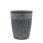 ブラヘア　カルカレア　シルバー　15号鉢つき　特大レア株❗ CSM-210L シルバーグレー【スリット鉢】【カーメン君カラー】 – KUROKO