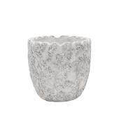 CARNAC/ブランアラモード04-L ホワイト/CV04L - 花材通販はなどんや