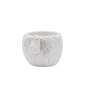 CARNAC/ランスポットカウ/CW15