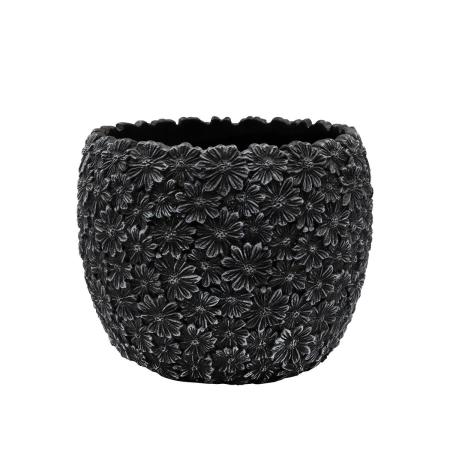 CARNAC/デイジーフラワーベーシックXL-BK ブラック/CW10BK