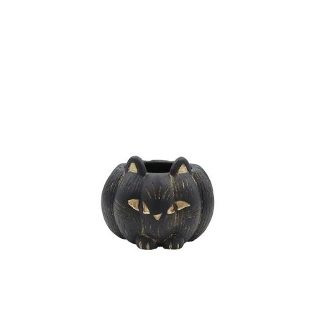 CARNAC/ハロウィンキャット25-C-BK ブラック/CPHW40BK