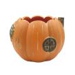 CARNAC/ハロウィンパンプキンハウス25-L-OR オレンジ/CPHW35OR