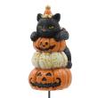 CARNAC/ハロウィンレジンピック25-Bキャット×ジャックオーランタンBK ブラック/WGHW02BK