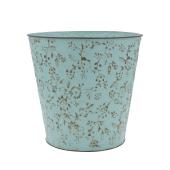 CARNAC/ブルームベーシック6-GR グリーン/HSBL06GR