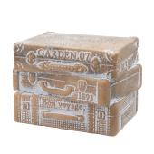 CARNAC/ヴィンテージトランクフラワースタンドB-TE テラコッタ/GG2605TE